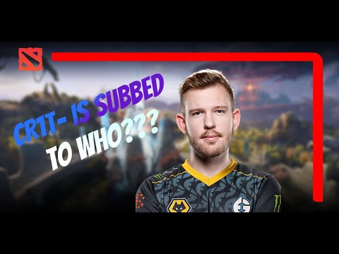 CR1T- IS SUBBED TO WHO ON YT?? | DPC Summer Tour