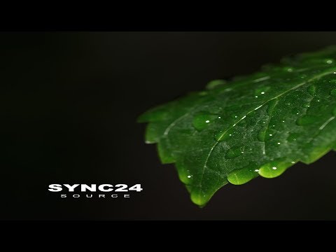 Sync24 - Cryptobiosis | Chill Space