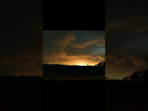 I Miss The Magic #cinematicshorts #midwestlife #summersunset #shotonlumix #notai