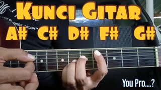 Download lagu Guitar Chords A# C# D# F# G# (For Beginners) To Get More Stable mp3