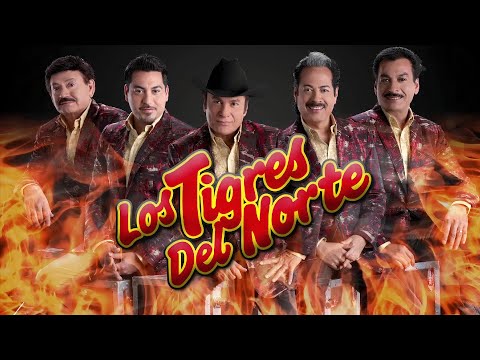 MIX TIGRES DEL NORTE VOL.1 CORRIDOS - Puros Corridos Mix 🔥 Puros Corridos Pesados Mix Album Completo