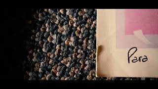 Las Cartas (2021) - Cortometraje