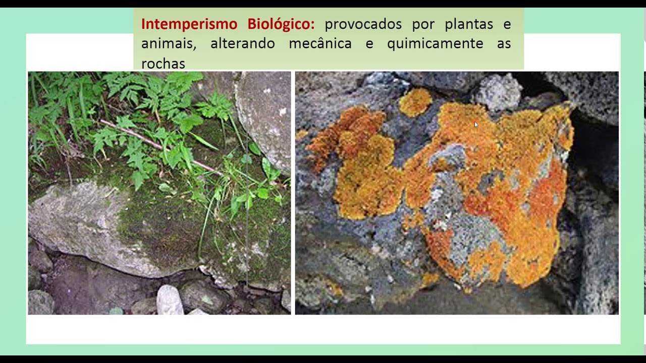 Intemperismo e a Formação dos Solos. Profa Maria Giovana Parisi. IGC-UFMG