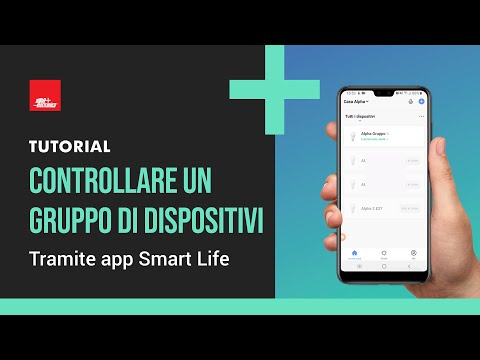 Guarda il video