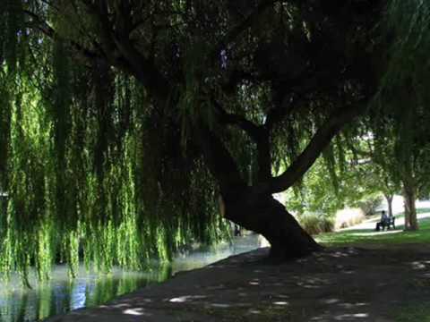 Marek Grechuta "Dziecinstwo Moje" Pieśni do słów Tadeusza Nowaka