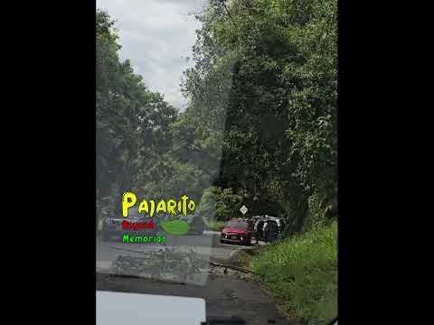 Accidente de tránsito (vía Pajarito Boyacá - Aguazul) (Sep. 19/2026)