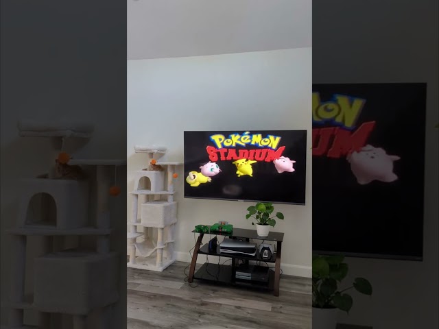 Vídeo relacionado con CAMWAY Adaptador RCA a HDMI con Switch 16:9/4:3, 1080P Convertidor AV a HDMI con Cable HDMI 50CM, Compatible con PAL NTSC para Wii PS1 PS2 N64 Xbox DVD VCR