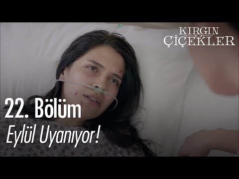 Eylül uyanıyor! - Kırgın Çiçekler 22. Bölüm