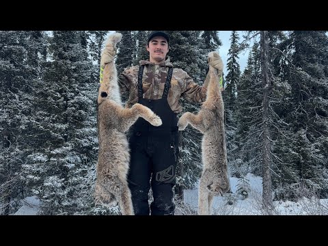 A Great Start to the Trapping Season!