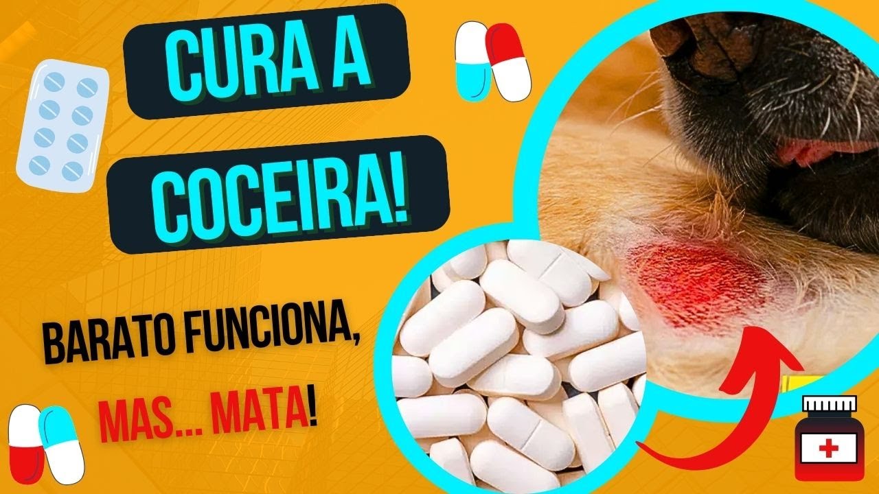 REMEDIO BARATO P; ACABAR C/ COCEIRA CACHORRO INFLAMAÇÃO E DERMATITE EM CÃES COM FERIDAS E MACHUCADOS