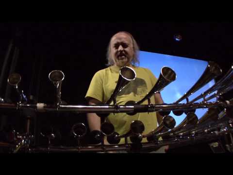 A Dandelion Diary - Part One