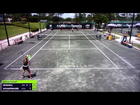 Schaefbauer v Mao Mushika