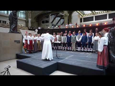 Noorte Segakoor Vox Populi Cyrillus Kreek Mis Sa sirised sirtsukene