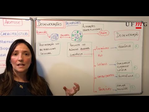 Patologia Geral - Aula teórica Degenerações - Recapitulando e finalizando