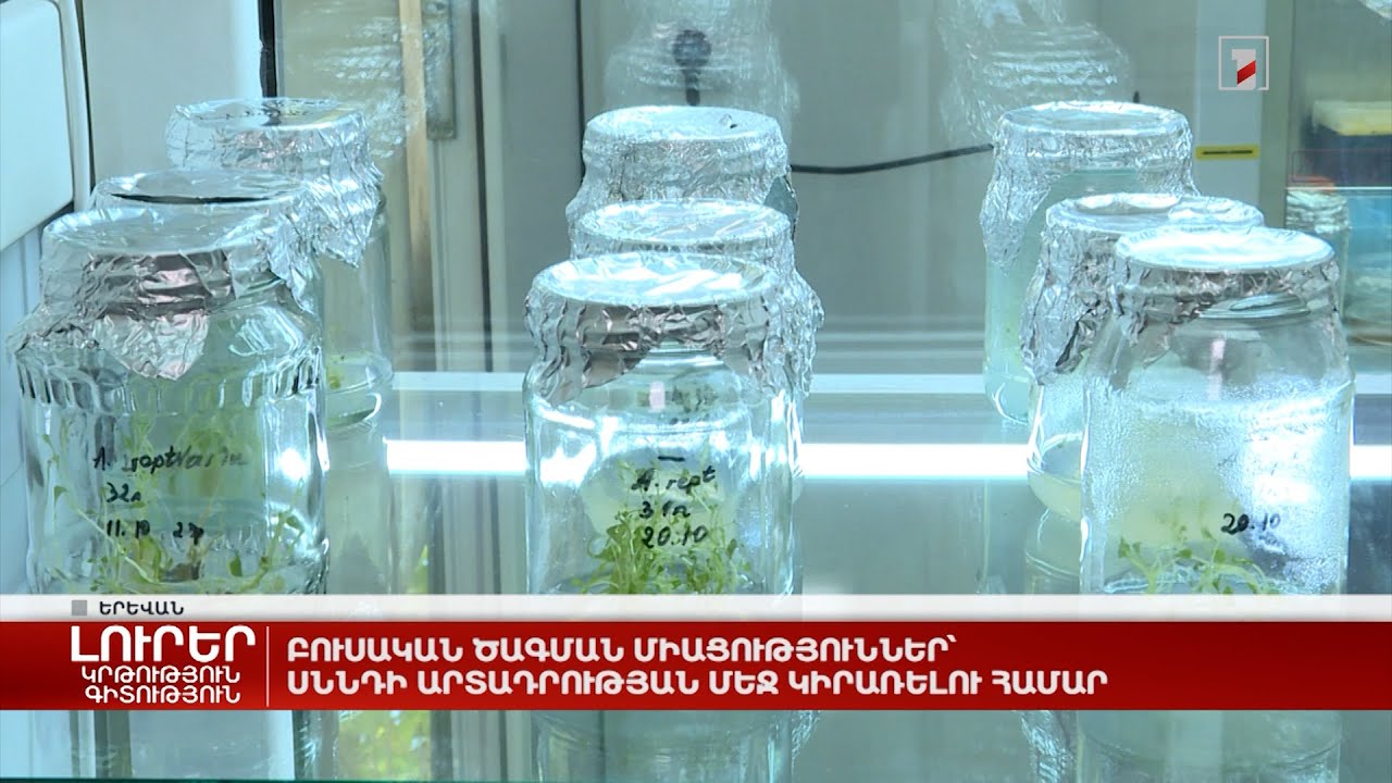 Բուսական ծագման միացություններ՝ սննդի արտադրության մեջ կիրառելու համար