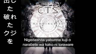 CTS - Hummingbird (Lyric)