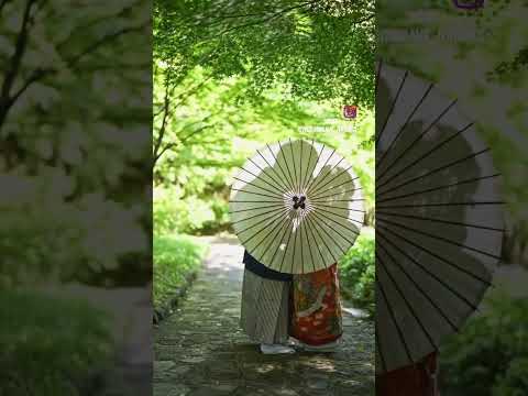 庭園内の地下プール – 種類、選択のアドバイス、素晴らしい写真  庭園