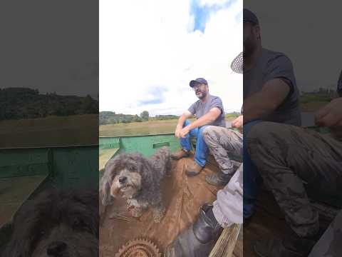 Pescaria com velhos amigos. 25/04/25 Em Cruz Machado, Paraná