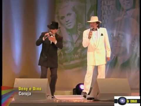 Coruja video