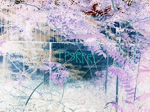 TPSRPRT - 420 Donkey, Smuggler (Slowed)