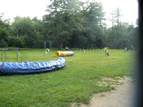 Nicoletta a Neroušek - agility Jirkov