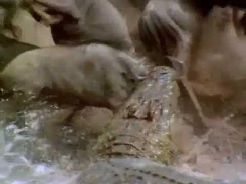 Enemigos ocultos   Boyd K  Packer