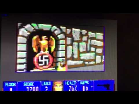 Wolf 3D on the C64 with Super CPU in 16 colour mode