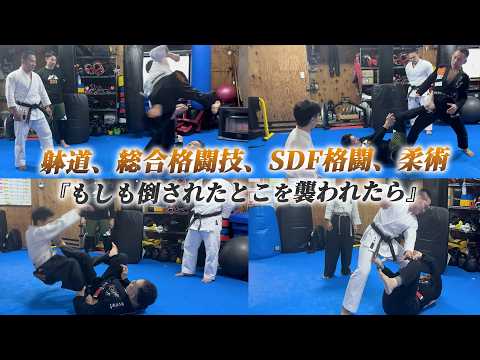 躰道、総合格闘技、SDF格闘、柔術で「もしも倒されたとこを襲われたら」で楽しんでみました！！