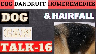 Home Remedies For Dog Dandruff ll Hairfall ll In Hindi ll DOG CAN TALK-16 ll JACKIE SHARMA