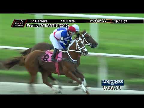 221125 c06 - 1° LADY ASCOT