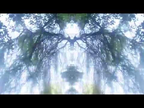 FERNS (HE.YY WOM.AN WATCHYR.BACK) ft. D/P/I