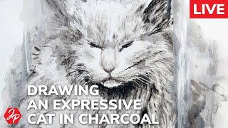 How to draw an expressive kitty cat with wet charcoal