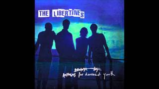 The Libertines Chords