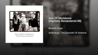 Son Of Neckbone (Digitally Remastered 99)