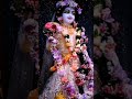 Meri Vinti Yahi Hai Radha Rani Radha Rani Status Shorts
