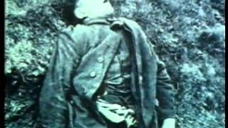 Video-Thumbnail von YouTube