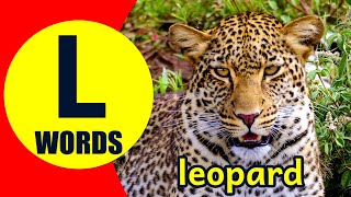 Words Starting With L - Learn Words that Start with L Sound