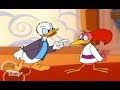 Disney S House Of Mouse Season 3 Episode 5 Donald And The Aracuan Bird