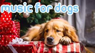 Xmas Music for Dogs | Relaxing Sounds to Keep Dogs Calm at Christmas!