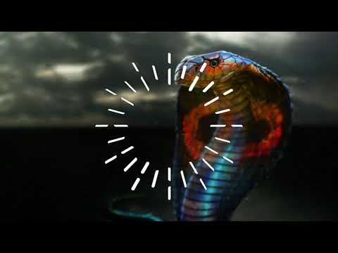 Tiesto & 7 Skies vs Bounce Inc. & Daav One - Trouble Cobra (doTi Mashup)