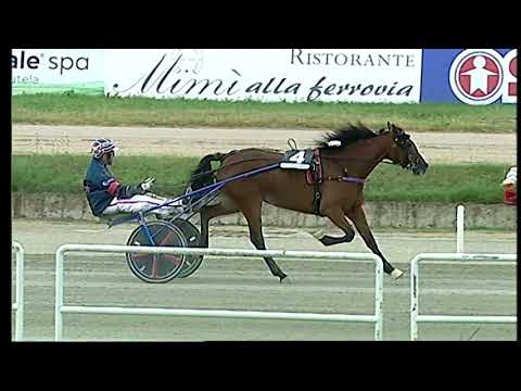 Napoli Trotto 09/06/2022 - 5ª corsa