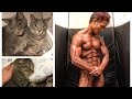 ボディビルTR鎌田の筋肉と猫に愛を注ぐルーティン!!!