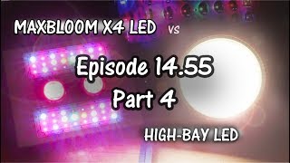 MaxBloom vs High Bay LED Grow Light Ep. 14.55 (Part 4)