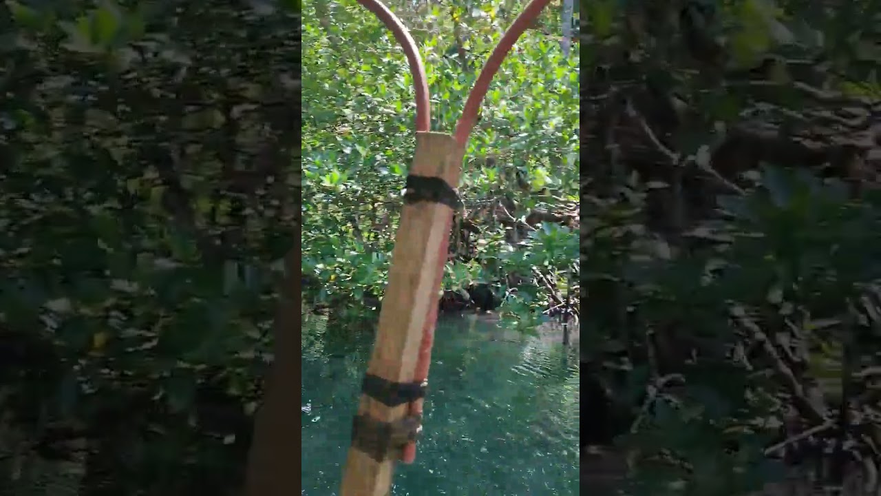 YouTube Short thumbnail