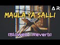 Maula Ya Salli Slowed Reverb Best Nasheed
