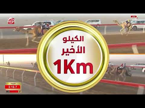 ش 5 (جباره) لـ محمد سالم بن مكتوم الجنيبي 4:35:26 ، مهرجان العين 2026/07/06 حقايق الروضة