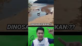Download lagu IS THE APPEARANCE OF A REAL DINOSAURS OR NOT???, #shorts #dinosaur 😱😱 mp3 Download lagu IS THE APPEARANCE OF A REAL DINOSAURS OR NOT???, #shorts #dinosaur 😱😱 mp3
