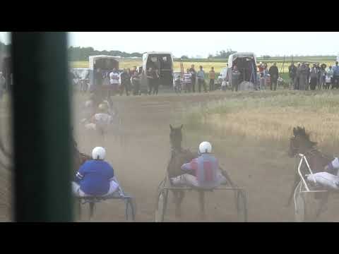 Trka "Četvrta trka" 13.06.2021 Čarli Star - Dejan Katanić