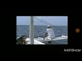 11 16 11 2005 Cebu Diving Study