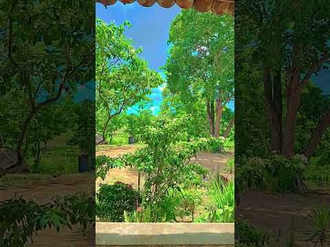 #ceará#nature#10mil #mil #natureza #viral #aracoiaba #top #shorts ##videoshort #shortsvideo #maciço